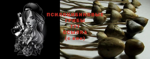 гидропоника Горняк