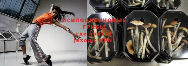 гидропоника Горняк